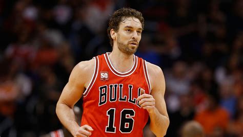 gasol bulls